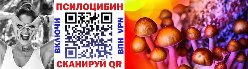 ОМГ ОМГ онион  наркошоп  Южно-Сухокумск  Псилоцибиновые грибы ЛСД 